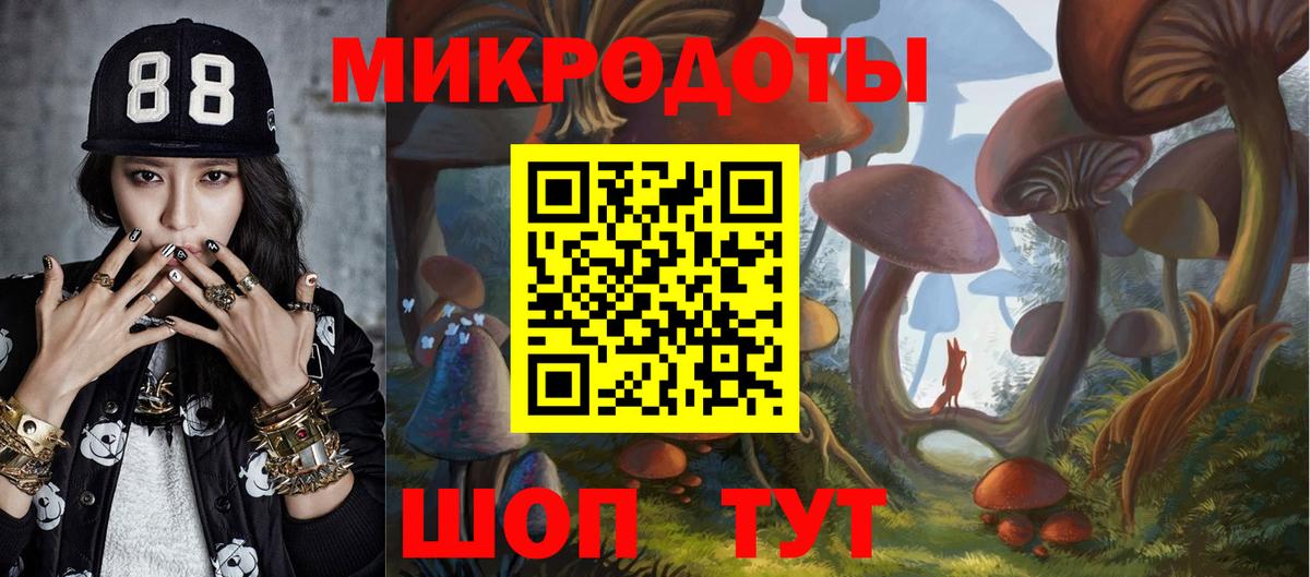 Галлюциногенные грибы мицелий  как найти закладки  Псилоцибиновые грибы Psilocybe  Сердобск  Вход с VPN 